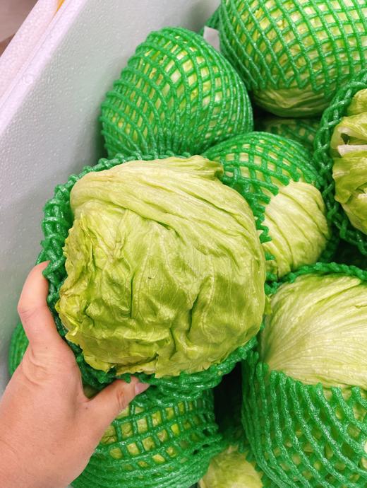 西生菜一个 商品图1
