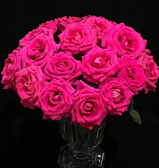 【俊发社区物业中心自提商品】【弗洛伊德单头玫瑰】鲜花20枝 「炽热爱恋·高饱和色」 商品图0