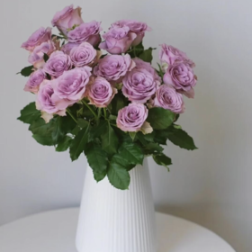 【俊发社区物业中心自提商品】【紫霞仙子单头玫瑰】鲜花20枝 「梦幻渐变·仙气飘飘」