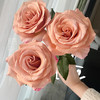 【俊发社区物业中心自提商品】【莫泊玫瑰单头玫瑰】鲜花20枝 「淡雅咖粉色·复古韵味」 商品缩略图2