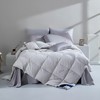 远梦臻晞95%白鹅绒被 商品缩略图0