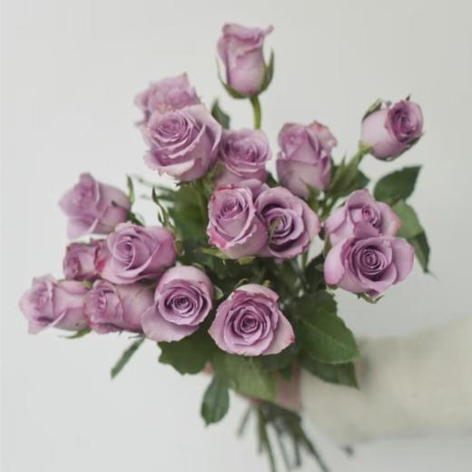 【俊发社区物业中心自提商品】【紫霞仙子单头玫瑰】鲜花20枝 「梦幻渐变·仙气飘飘」 商品图2