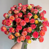 【俊发社区物业中心自提商品】【爱丽丝多头玫瑰】鲜花10枝 「橙红复色·超值一把爆花」 商品缩略图0