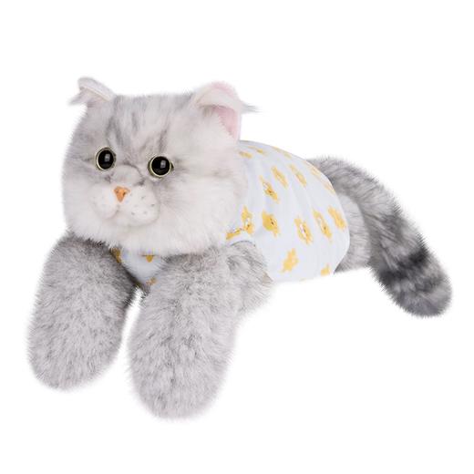 chongker银渐层抱偶-蓝色小熊背心 商品图0