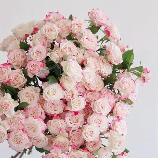 【俊发社区物业中心自提商品】【折射多头玫瑰】鲜花10枝「粉白渐变·折射珠光感」 商品图2