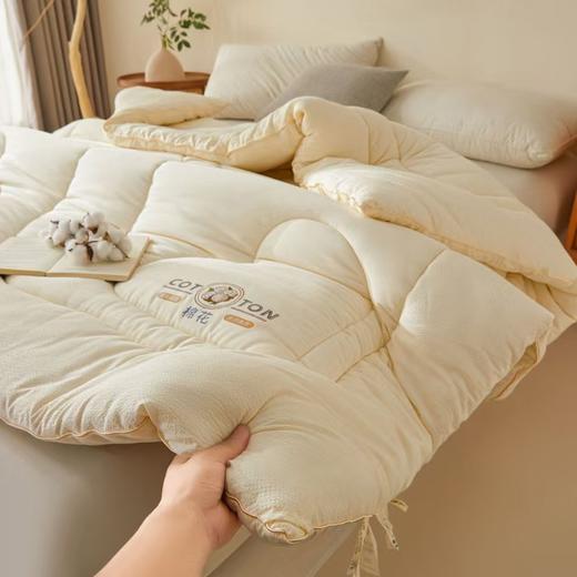 【多样屋专柜】悠梦嘉居YB-15102西域提花棉花被3000克 100%棉花填充 商品图1