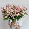 【俊发社区物业中心自提商品】【折射多头玫瑰】鲜花10枝「粉白渐变·折射珠光感」 商品缩略图4