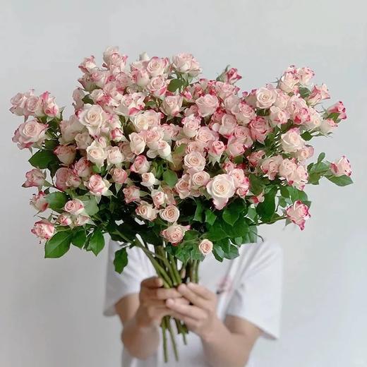 【俊发社区物业中心自提商品】【折射多头玫瑰】鲜花10枝「粉白渐变·折射珠光感」 商品图4