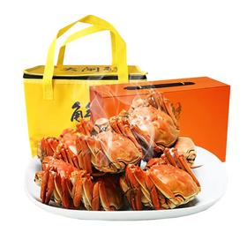 大闸蟹-10只礼品装