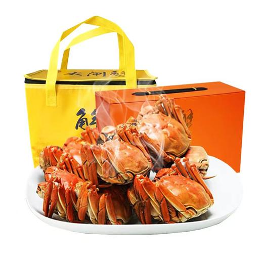 大闸蟹-10只礼品装 商品图0