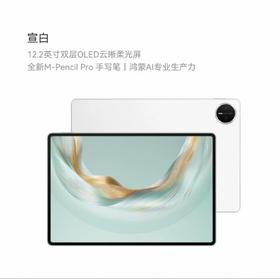 华为 MatePad Pro 12.2 25款  12+256G