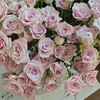 【俊发社区物业中心自提商品】【莱拉多头玫瑰】鲜花10枝「温柔薰衣草紫·浪漫多头款」 商品缩略图3