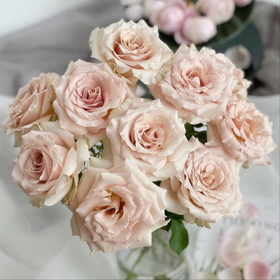 【俊发社区物业中心自提商品】【流沙单头玫瑰】鲜花20枝 「低饱和裸粉灰·复古渐变」