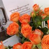【俊发社区物业中心自提商品】【橙色芭比多头玫瑰】鲜花10枝「活力橙粉色·多头小可爱」 商品缩略图4