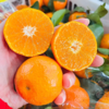 广西砂糖橘500g 商品缩略图0