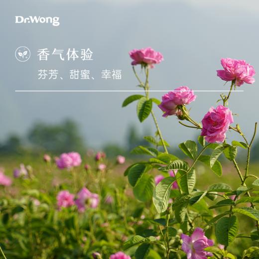 大马士革玫瑰（保加利亚）精油 5ml 商品图1