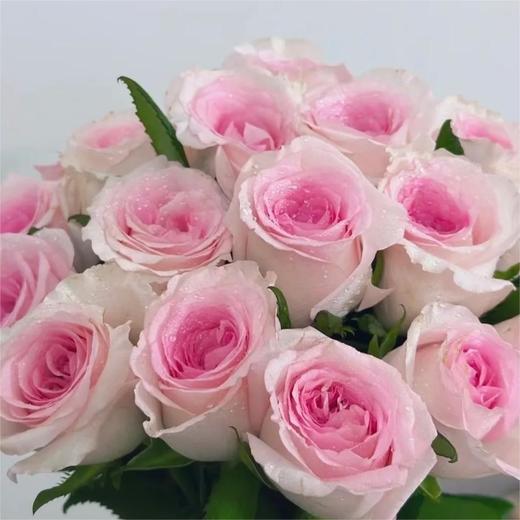 【俊发社区物业中心自提商品】【洛神单头玫瑰】鲜花20枝「粉白渐变·古典柔美感」【非俊发小区不发货，订单自动取消】 商品图2