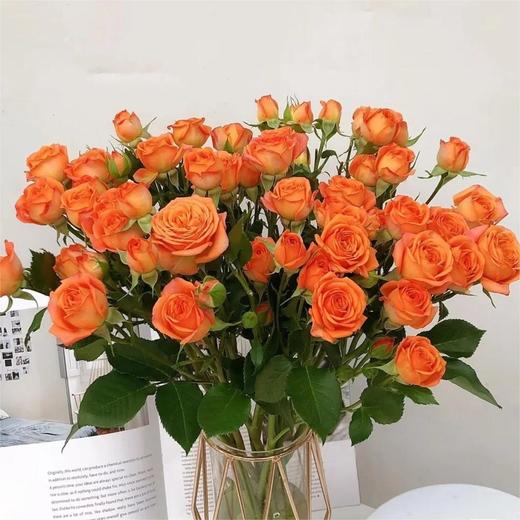 【俊发社区物业中心自提商品】【橙色芭比多头玫瑰】鲜花10枝「活力橙粉色·多头小可爱」 商品图6