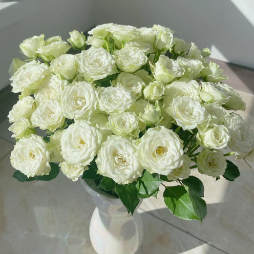 【俊发社区物业中心自提商品】【繁星多头玫瑰】鲜花10枝「白色小花朵·密集繁星感」 商品图3