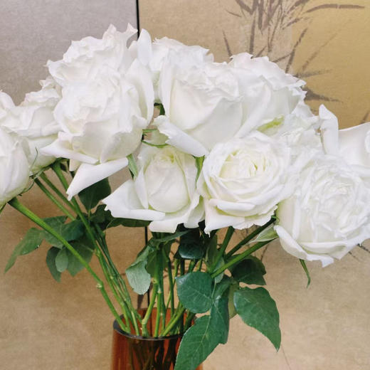 【俊发社区物业中心自提商品】【坦尼克单头玫瑰】 鲜花20枝 「经典雪山系列·洁白无瑕」 商品图2