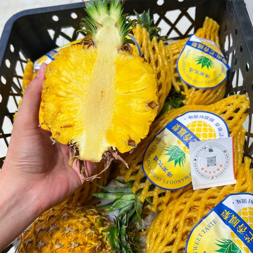 芒果凤梨 海南核心产区 菠萝 香甜多汁 商品图9