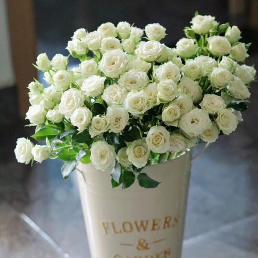 【俊发社区物业中心自提商品】【繁星多头玫瑰】鲜花10枝「白色小花朵·密集繁星感」 商品图5