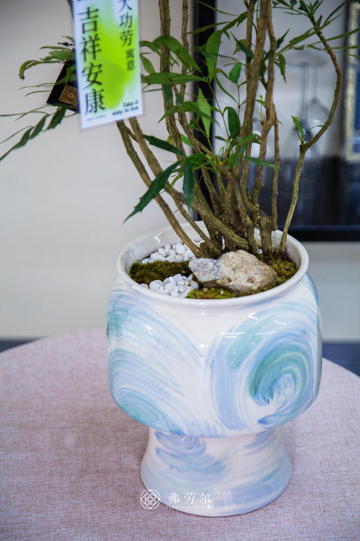 十大功劳 商品图2