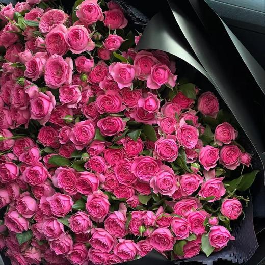 【俊发社区物业中心自提商品】【苏菲宝贝多头玫瑰】鲜花10枝 「桃红色簇拥花瓣·甜美小可爱」 商品图4