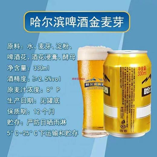 哈尔滨金麦芽啤酒330ml/罐 商品图1