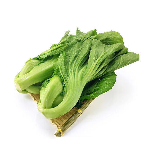 水东芥菜约400g 商品图0