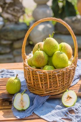 新疆库尔勒香梨