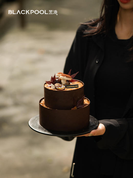 栗子蛋糕（合集） 商品图3