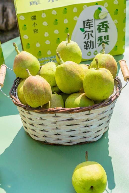 新疆库尔勒香梨 商品图6