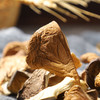 【秒杀】富昌鲍鱼菇100g 商品缩略图3