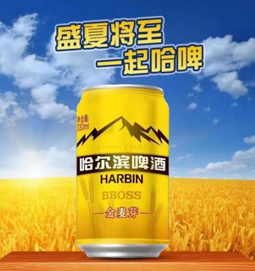 哈尔滨金麦芽啤酒330ml/罐 商品图0