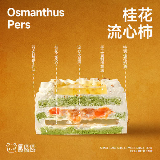 桂花流心柿 商品图1