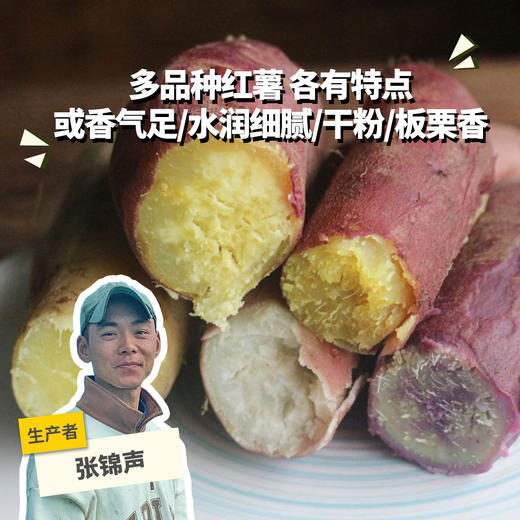 生态红薯（多品种：本地白、哈密白、一点红、玛莎莉、鸣门金时） | 绿家自产*Eco-sweet potato | Self-production 商品图0
