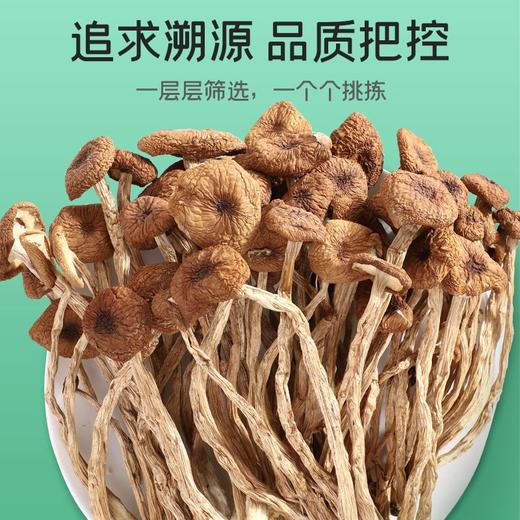 【秒杀 25.12月到期】富昌茶树菇150g 商品图1