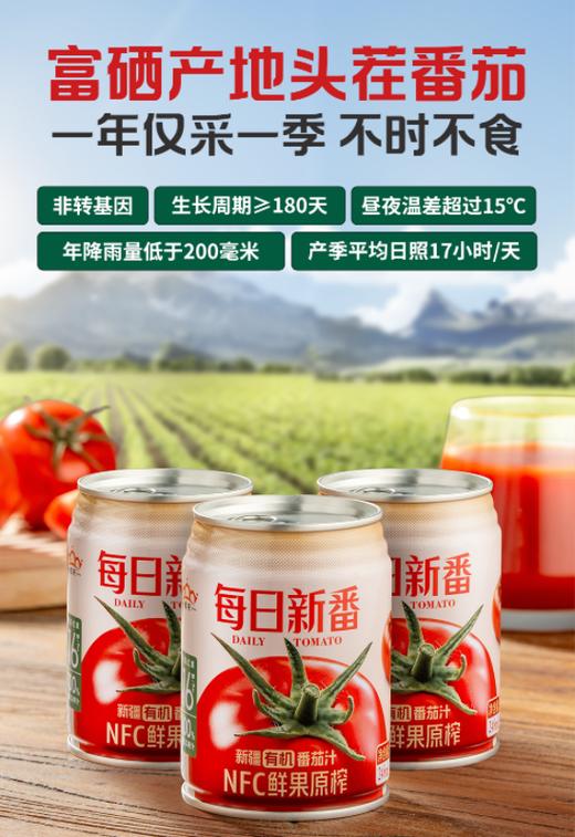 【严选】【金新农】【100%NFC鲜果原榨 有机 不加一滴水】冠农有机番茄汁 不加糖 不加防腐剂 0脂肪轻热量 每罐番茄红素含量≥16mg 符合306项农残检测（厂家直发） 商品图1