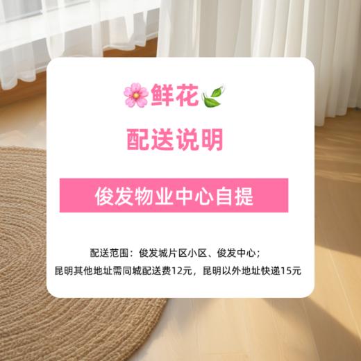 【同城配送】【洛神单头玫瑰】鲜花20枝「粉白渐变·古典柔美感」 商品图1