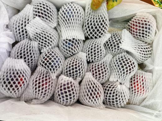 紫玉凤凰李子2斤 商品图0