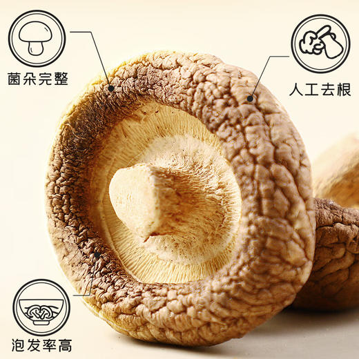 【秒杀】富昌小香菇100g 商品图5