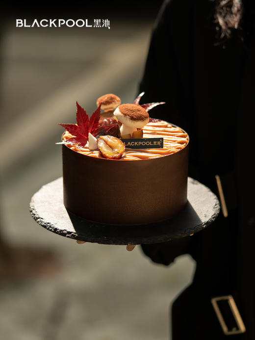 栗子蛋糕（合集） 商品图0