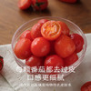 南食召 樱桃番茄沙司 商品缩略图3
