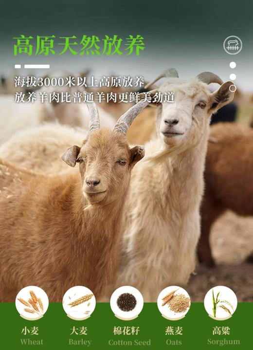 【如牧牦牛藏羊肉普通礼盒】青藏特产，家庭实惠装，尝鲜高原美味，冬日滋补！ 商品图10
