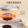 HYUNDAI养生壶HD-518H 商品缩略图6
