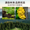 【新昊森林山珍礼包】精选山珍，产地直采，天然无添加，家常滋补好选择！（2.9-2.23停发） 商品缩略图5