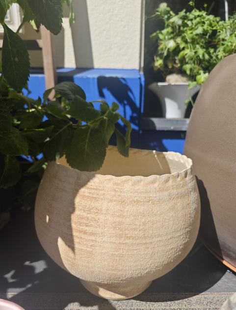 粗陶米白花盆 商品图0