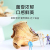 【秒杀】富昌真姬菇50g 商品缩略图2