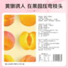 百草味 黄桃干60g 商品缩略图3